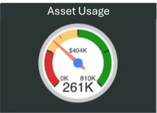 ServiceNow Asset Usage